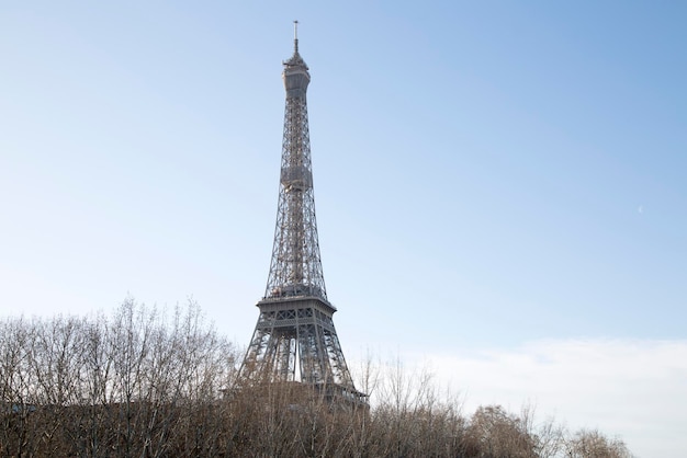 Torre Eiffel e alberi nudi a Parigi Francia