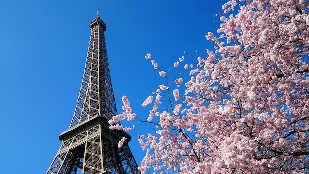 Torre Eiffel in primavera, Parigi, Francia