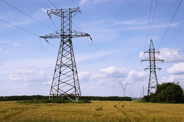 Torre elettrica nella foresta