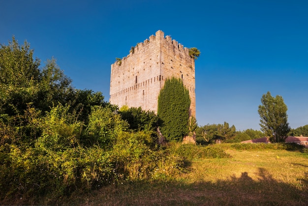 Torre medievale in Espinosa de los monteros, Burgos, Spagna.