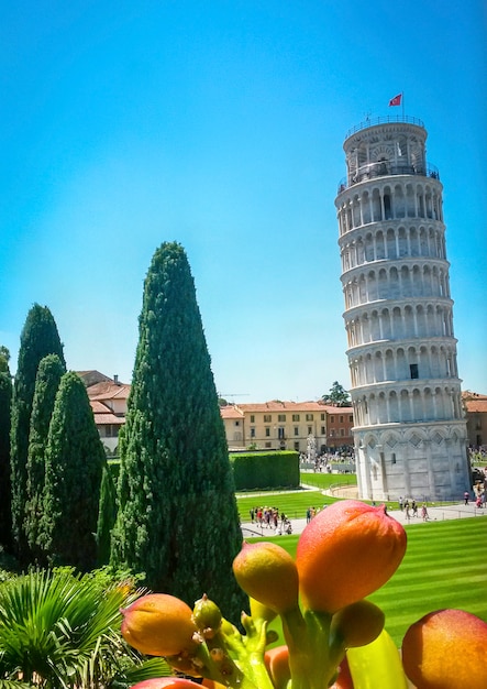 Torre pendente di Pisa, fiori e cipressi, Pisa, Toscana, Italia.