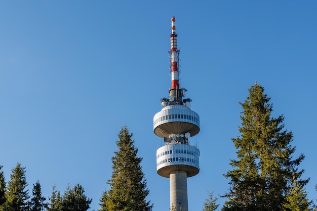 Torre Snezhana sulla cima di Snezhana ricoperta di foreste di abeti rossi nei monti Rodopi