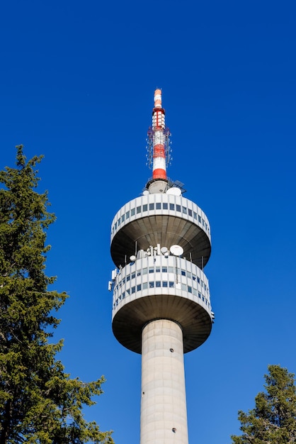 Torre Snezhana sulla cima di Snezhana ricoperta di foreste di abeti rossi nei monti Rodopi