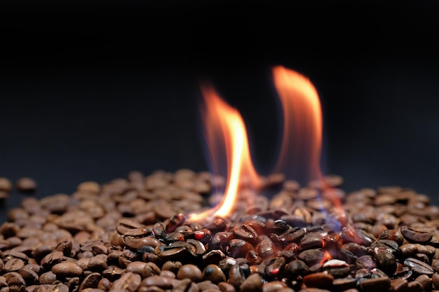 Torrefazione dei chicchi di caffè con il fuoco su uno sfondo scuro Chicchi di caffè torrefatto alzato