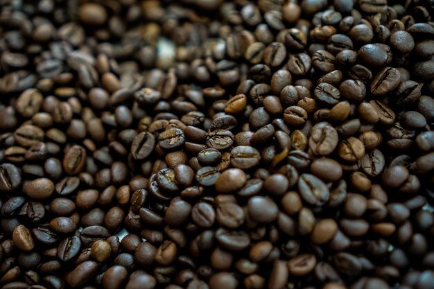 torrefazione scura tostata in chicchi di caffè per caffetteria