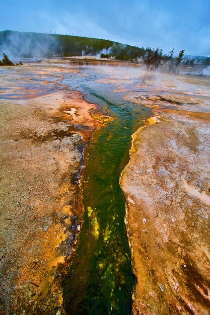 Torrente verde nel bacino di Yellowstone durante l'inverno