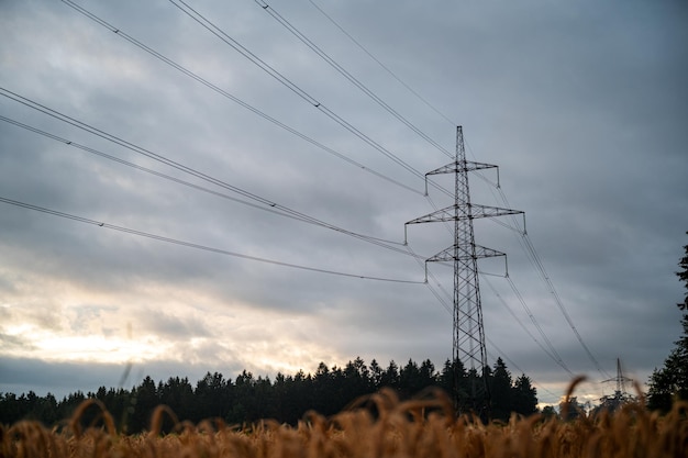 Torretta elettrica e cavi che corrono sopra il campo di grano dorato