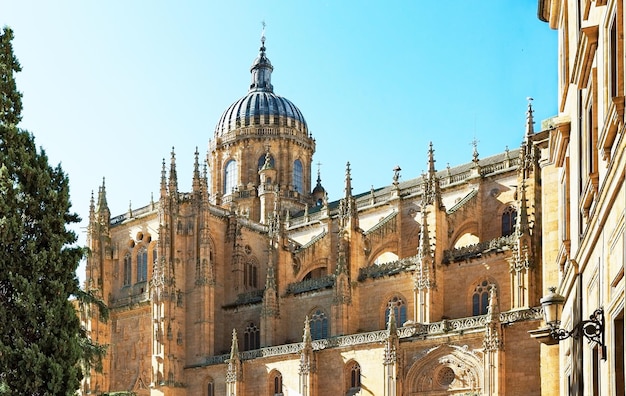 Torri della più antica università di Salamanca, in Spagna