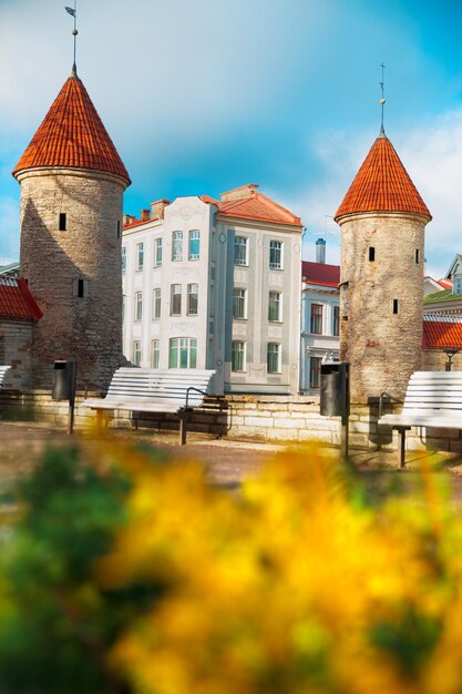 Torri di guardia di Viru Gate a Tallinn