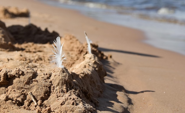 Torri di sabbia sulla riva