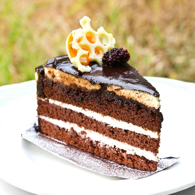 Torta al cioccolato