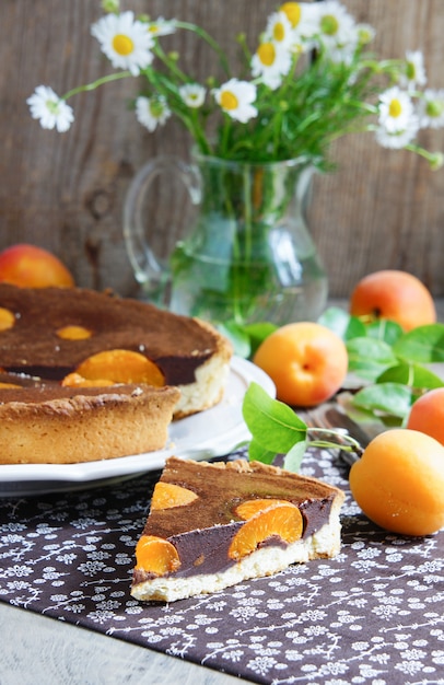 Torta con cioccolato e albicocche