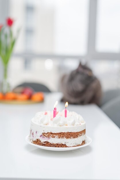 Torta di compleanno con candele rosa Torta di formaggio con lamponi