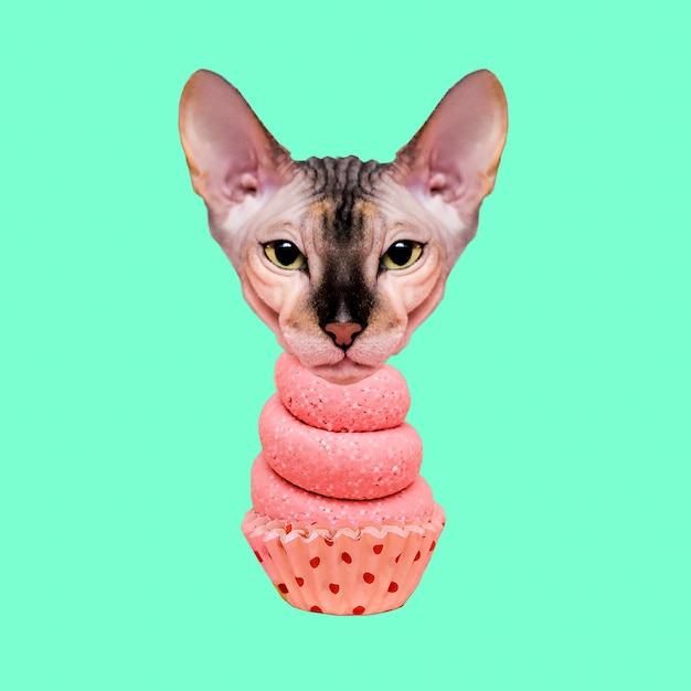 Torta di figa gatto. Collage di arte contemporanea. Divertente progetto di fast food