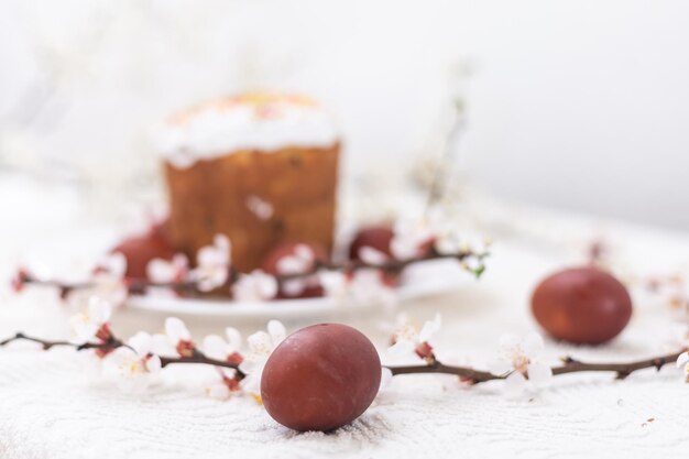 Torta di Pasqua e uova colorate. Tradizionale cottura pasquale. Vacanze di Pasqua. Avvicinamento.