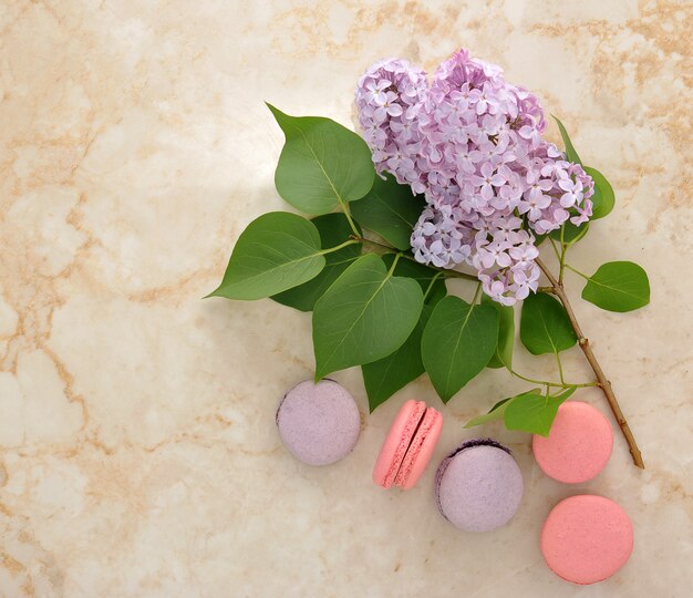 Torta, macarons e un rametto di fiori lilla