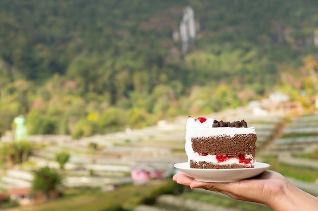 Torta su un piatto bianco a portata di mano