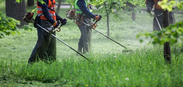 tosaerba con decespugliatore taglia il prato