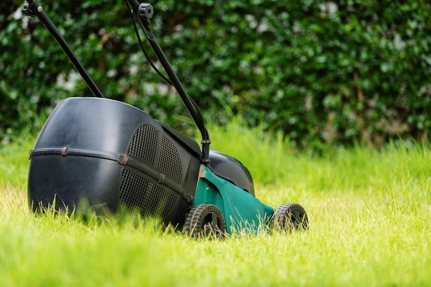 Tosaerba sull'erba verde di casa