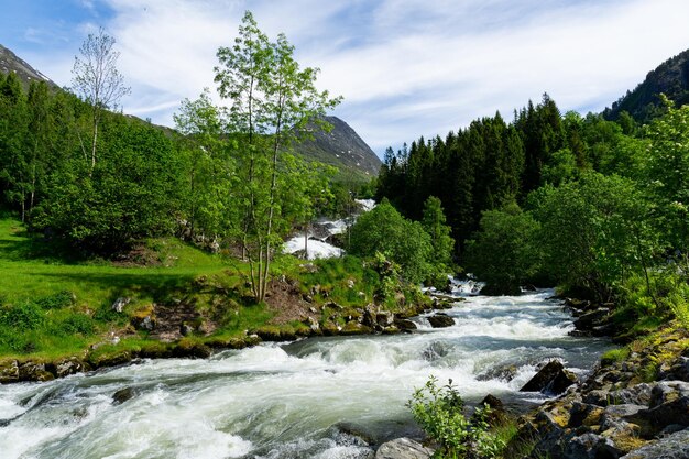 Tour fluviale con acqua abbondante immerso nel verde della natura in Norvegia