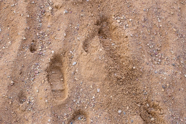 Tracce dell'uomo nella sabbia. Il concetto di viaggio e passeggiate lungo la spiaggia