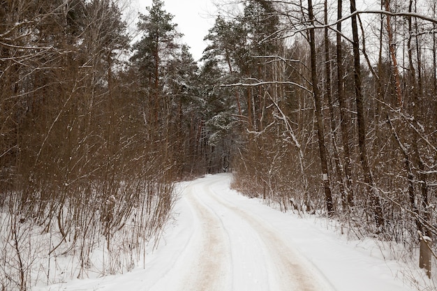 Tracce di neve dalle auto che attraversano una strada rurale nella foresta, un paesaggio invernale
