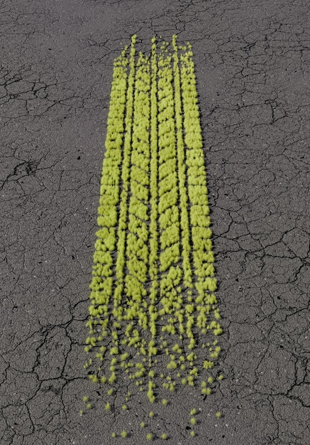 Tracce di pneumatici verdi su una strada di asfalto rotta