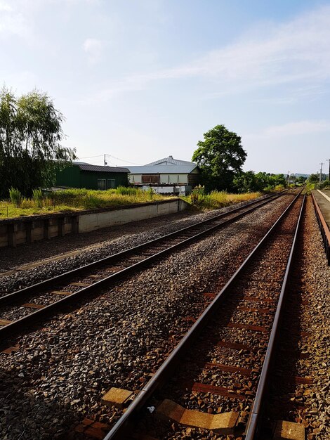 Tracce ferroviarie da piante contro il cielo