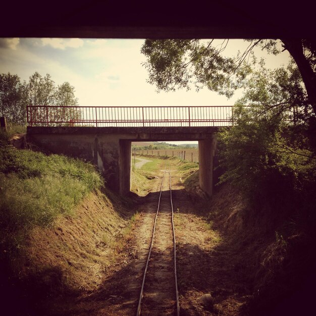 Tracce ferroviarie sotto il ponte