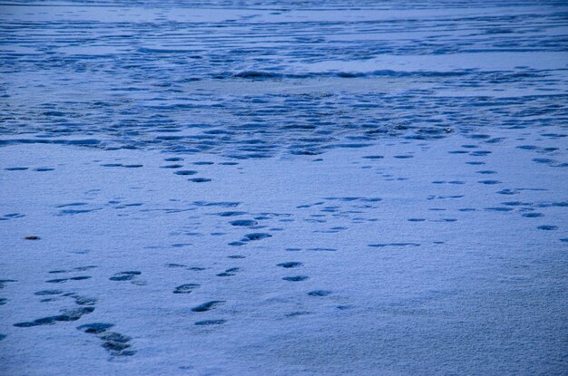 Tracce umane su una neve bianca