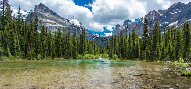 Traccia del lago Ohara nel giorno nuvoloso in primavera, Yoho, Canada