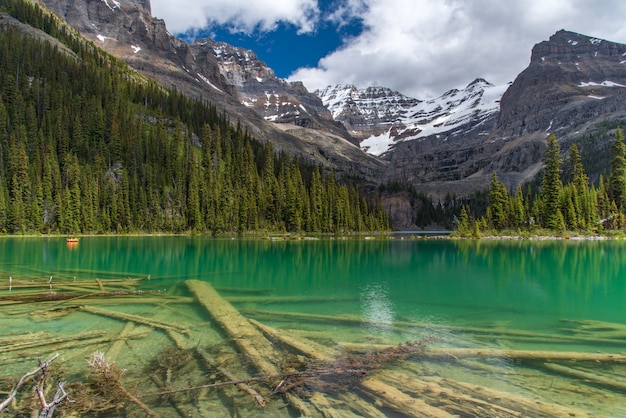 Traccia del lago Ohara nel giorno nuvoloso in primavera, Yoho, Canada