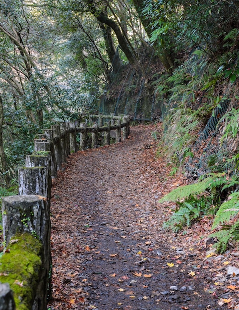 Traccia di escursione al parco nazionale di Minoo o Minoh in autunno, Osaka, Giappone