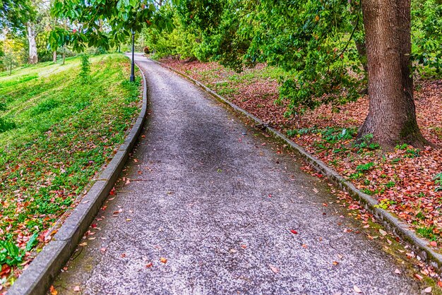 Traccia scenica dentro un parco pubblico a Roma, Italia