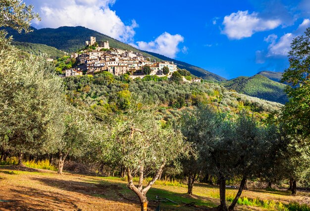 Tradizionale borgo medievale in cima alla collina