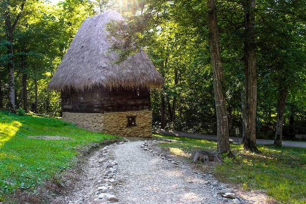 Tradizionale casa rumena rustica