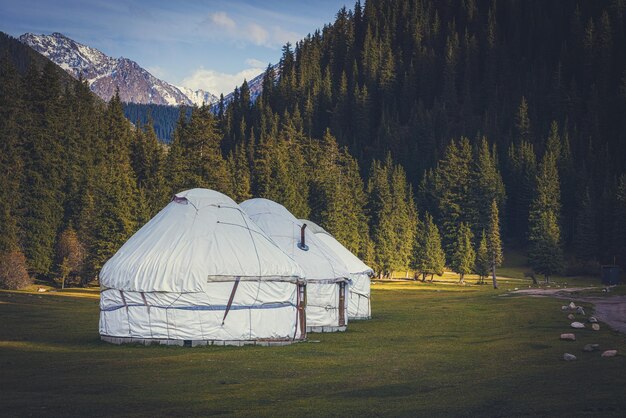 Tradizionale casa yurta circondata da bellissime foreste di conifere e montagne in autunno