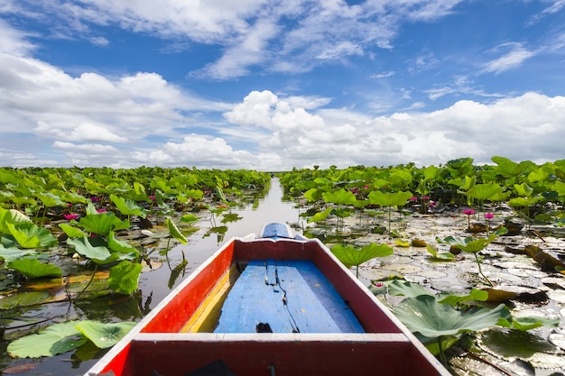 Tradizionale longtail boat turista con bellissime ninfee a Talay Noi Wetlands, Phatthalung, Thailand