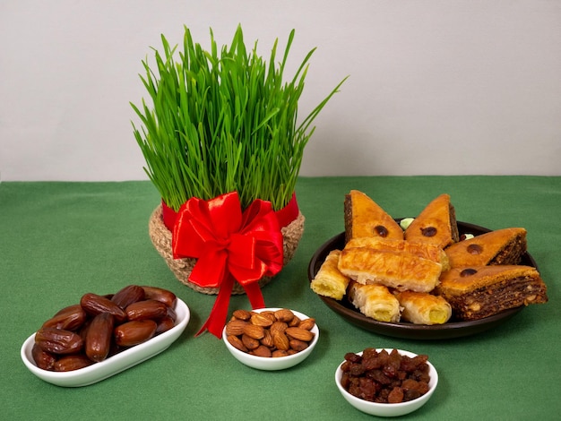tradizionale Novruz germogli di grano verde Novruz equinozio di primavera Persiano Iranese Azerbaigiano Capodanno