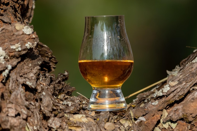 Tradizionale whisky scozzese single malt nel bicchiere Glencairn a fuoco selettivo