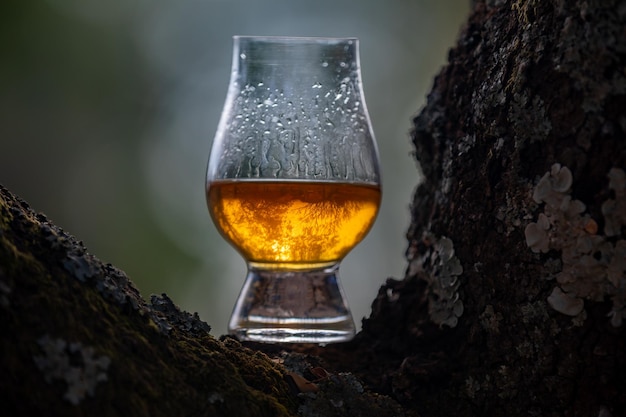 Tradizionale whisky scozzese single malt nel bicchiere Glencairn in focalizzazione selettiva