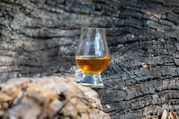 Tradizionale whisky scozzese single malt nel bicchiere Glencairn in focalizzazione selettiva