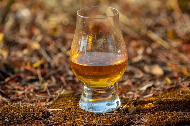 Tradizionale whisky scozzese single malt nel bicchiere Glencairn in focalizzazione selettiva