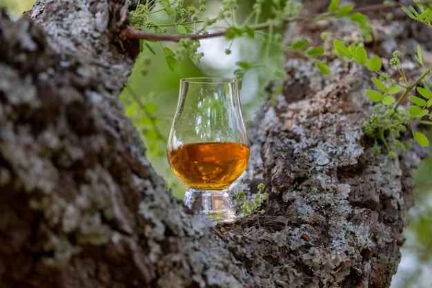 Tradizionale whisky scozzese single malt nel bicchiere Glencairn in focalizzazione selettiva