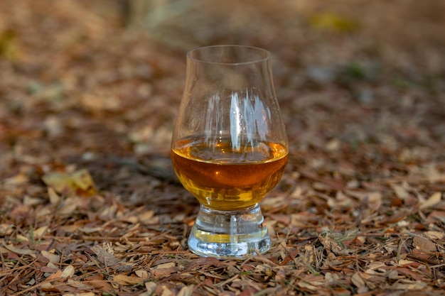 Tradizionale whisky scozzese single malt nel bicchiere Glencairn in focalizzazione selettiva