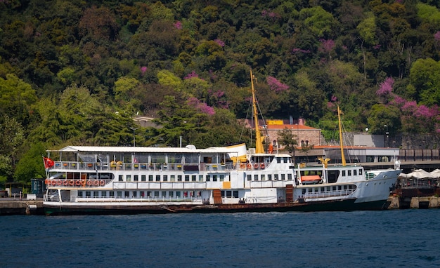 Traghetto nello stretto del Bosforo Istanbul