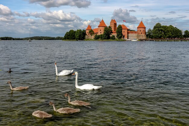 Trakai, Lituania. Vista del castello di Trakai in giornata di sole, lago Galve, Lituania.