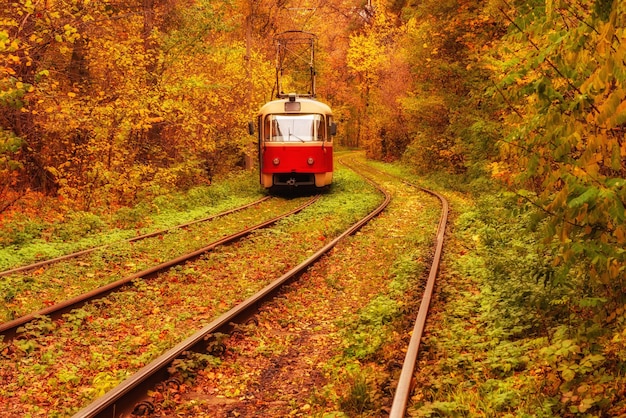 Tram rosso d'epoca che attraversa la parte forestale della città Sfondo autunnale nel parco di Kiev Ucraina