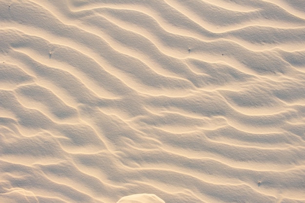 Trama beige sabbia in una trama di una giornata di sole