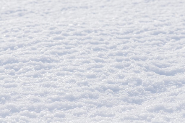 Trama bianca come la neve Sfondo di neve fresca